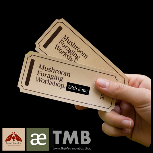 Cape Town's Ultimate Mushroom Foraging Workshop - 28th June 2025