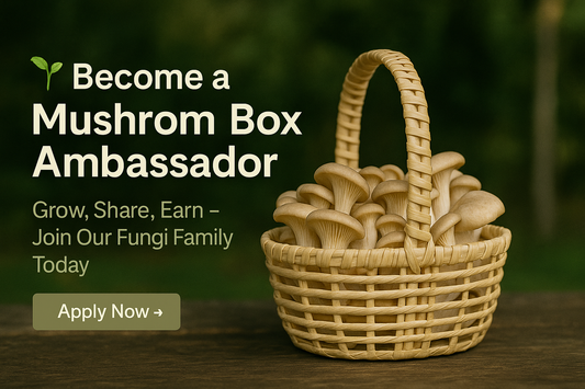 Become a Mushroom Box Ambassador!