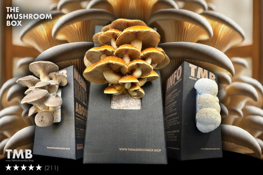 The Ultimate Mushroom Sauce Recipe (Must Try)