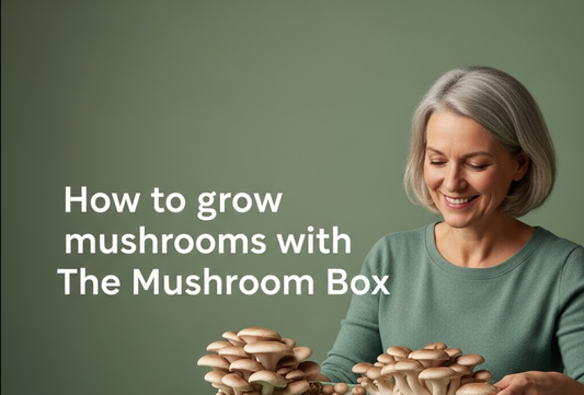 Grow Your Own Gourmet & Medicinal Mushrooms: The Ultimate Guide to Your Mushroom Box