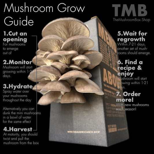 How to grow mushrooms in 7-10 days