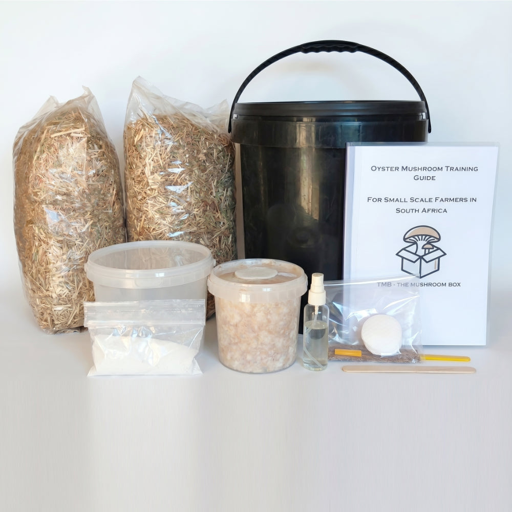 Do It Yourself Mushroom Kit
