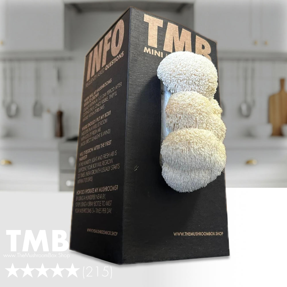 Brain Booster - Lions Mane Mushroom Box