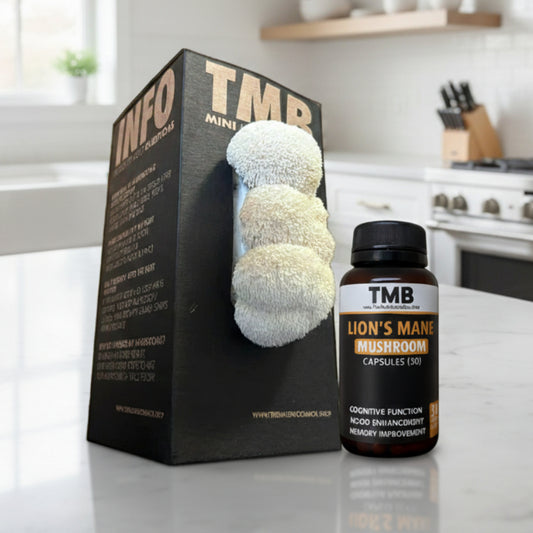 Brain Booster Bundle | Lions Mane Mushroom Box & Capsules (60)