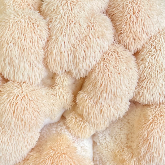 Brain Booster | Lions Mane Mushroom Capsules (60) | Enhance focus | 500mg