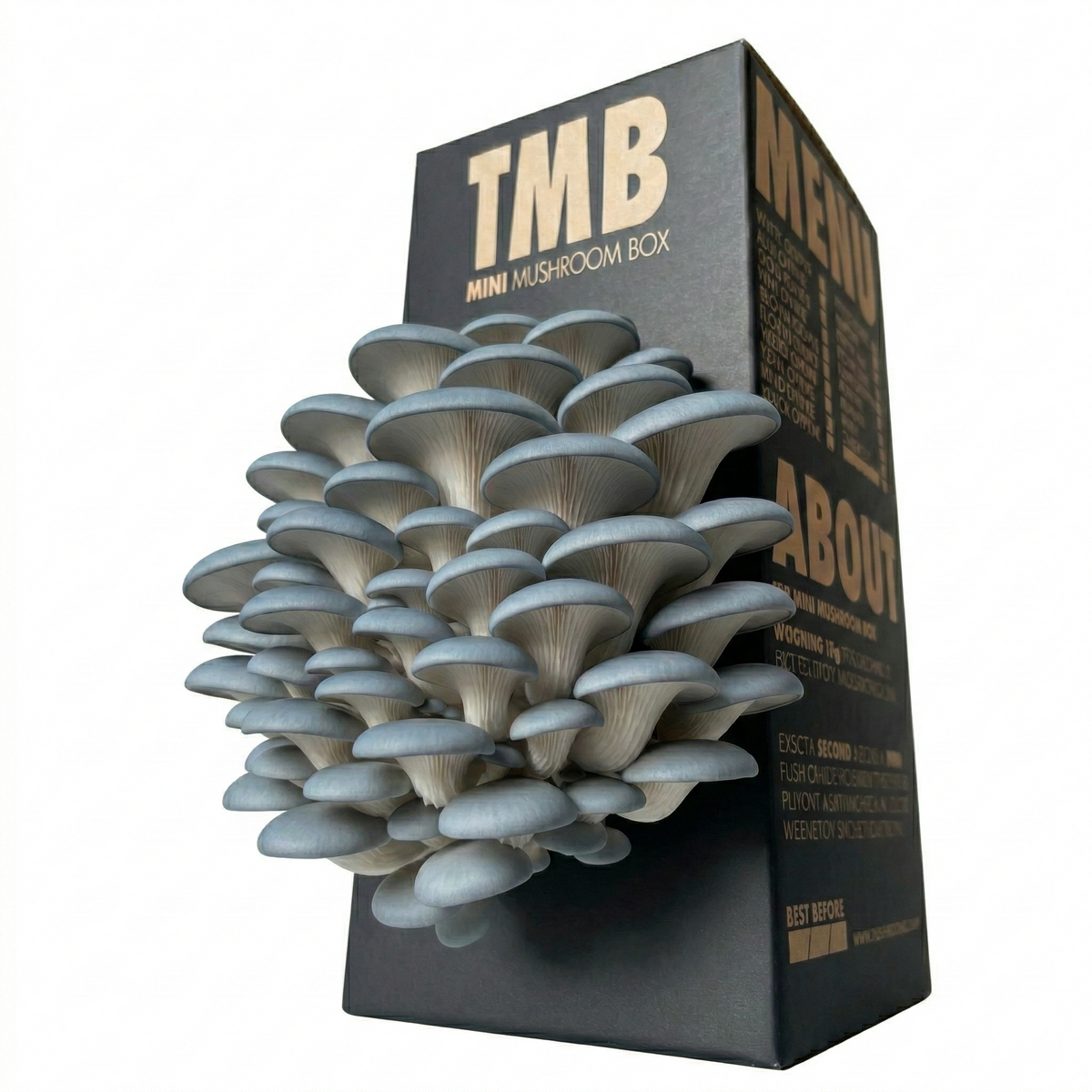 Grey Oyster Mushroom Log