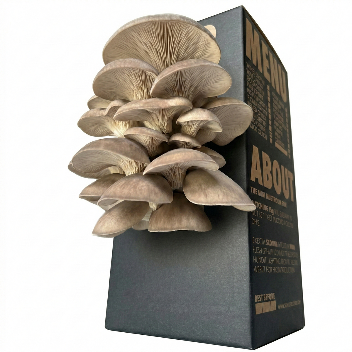 Black Pearl Mushroom Log