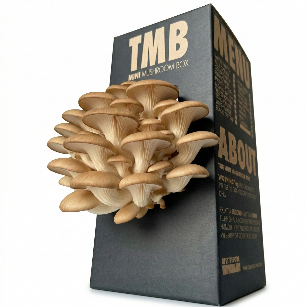 Brown Oyster Mushroom Log