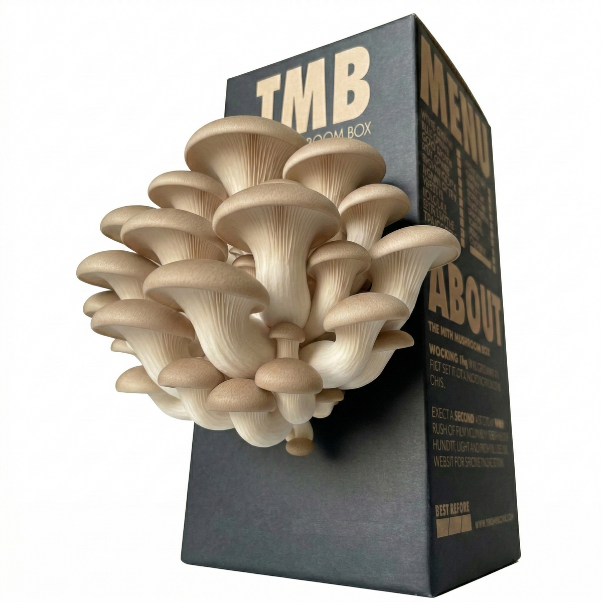King Oyster Mushroom Log