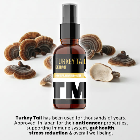 Stress Reduction Turkey Tail | Mushroom Tincture | Immune Support | 20 000mg +-