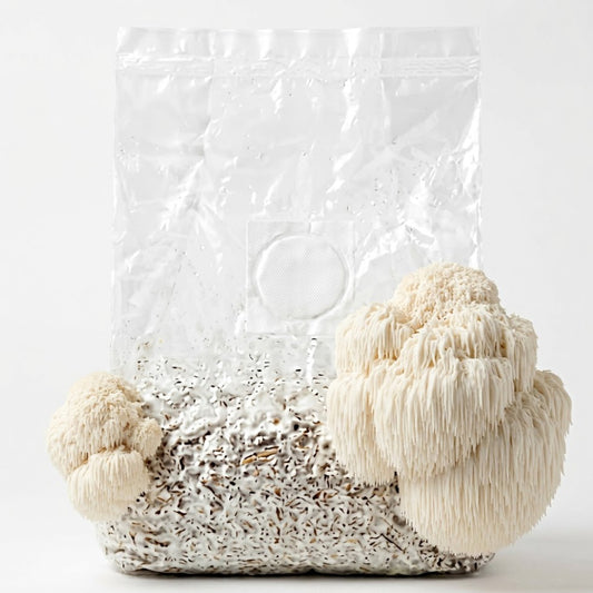 Smart Choice - Lion's Mane Mushrooms Grow Block (2.5l)
