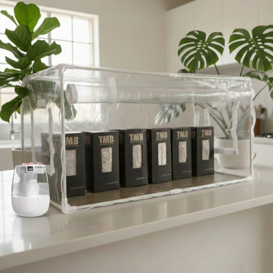 Mini Mushroom Farm set up + Seasonal 6 pack