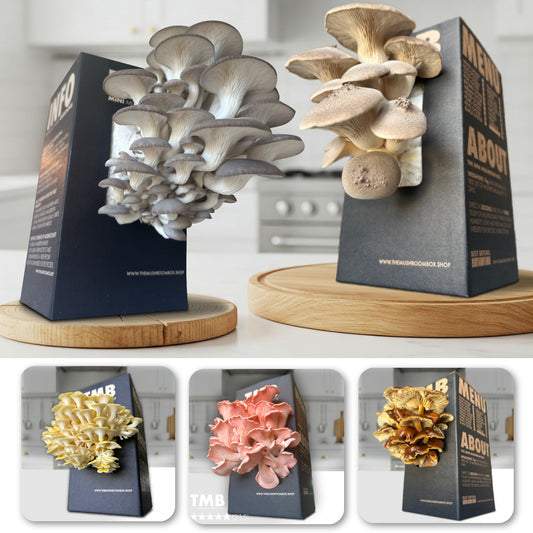 Seasonal 6 Pack - Save 30%