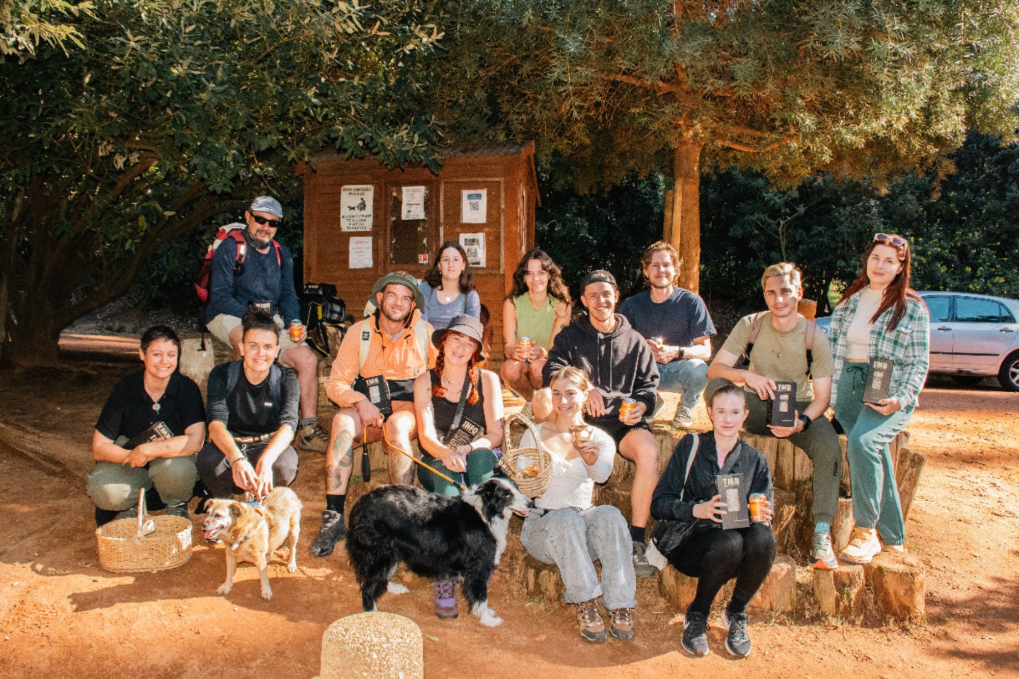the mushroom box community