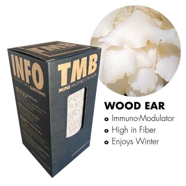 Mini Mushroom Box White Wood Ear Mushroom The Mushroom Box
