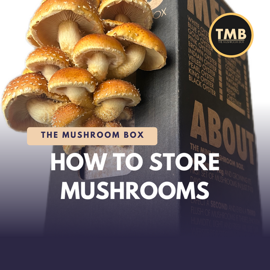 How To Store Mushrooms