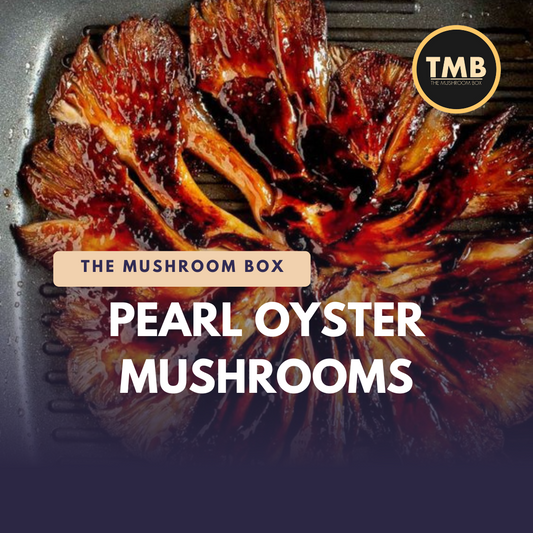 Pearl Oyster Mushrooms