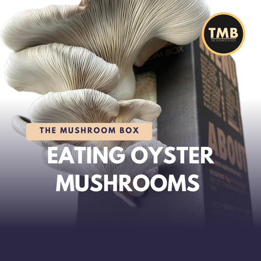 7 Reasons To Eat Oyster Mushrooms