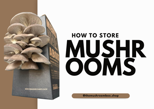 How To Store Mushrooms