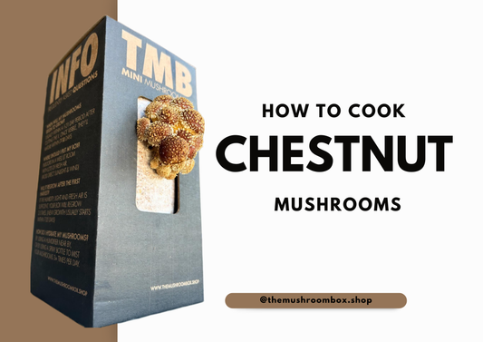 The Chestnut Mushroom