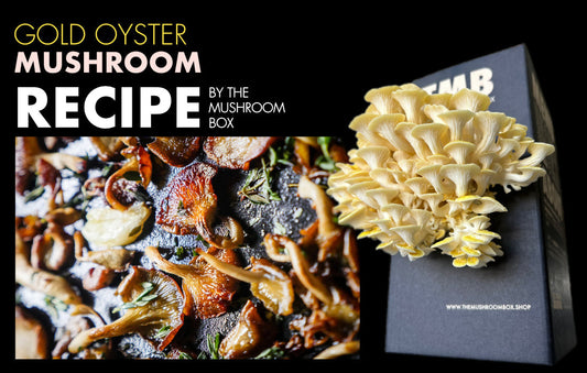 The EASIEST Oyster Mushroom Recipe (You gotta try)