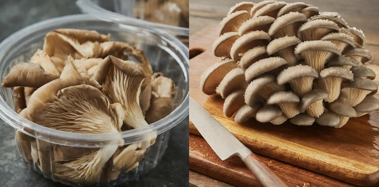 Store-bought Mushrooms VS Homegrown Mushrooms