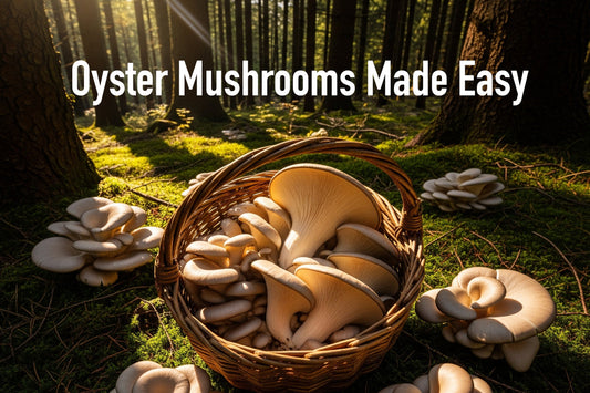 Recipe of the week - Oyster Mushroom Medley