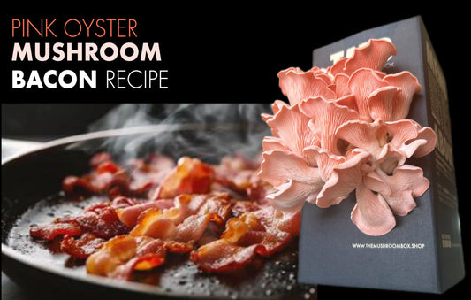 Pink Oyster Mushroom Bacon (Extra crispy)