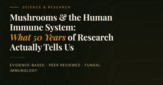 Mushrooms and the Human Immune System: What 50 Years of Research Actually Tells Us