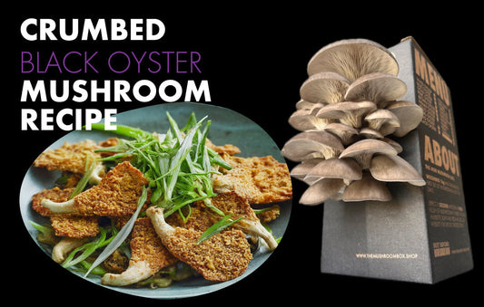 How To Cook Oyster Mushrooms (The Right Way)