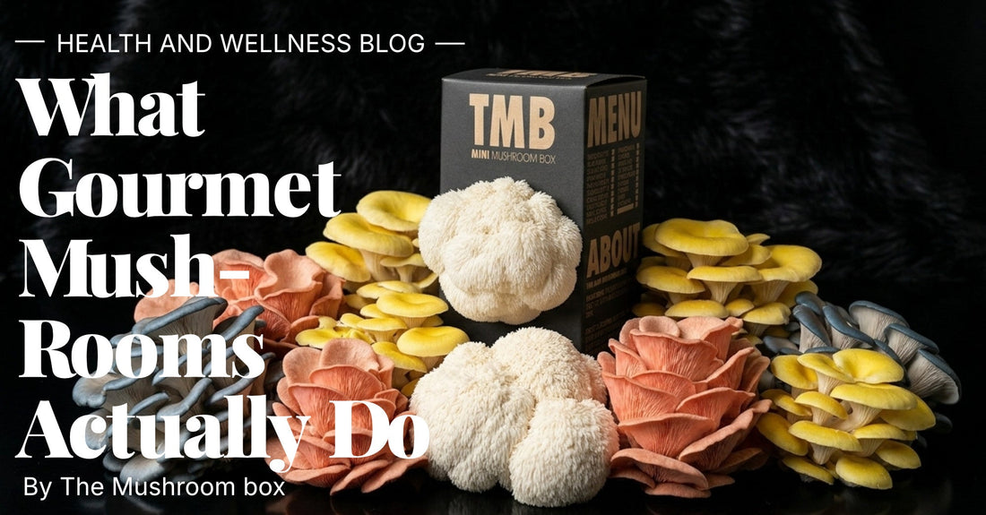 What Gourmet Mushrooms Actually Do: A Research-Backed Guide