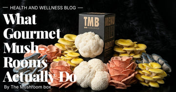 What Gourmet Mushrooms Actually Do: A Research-Backed Guide