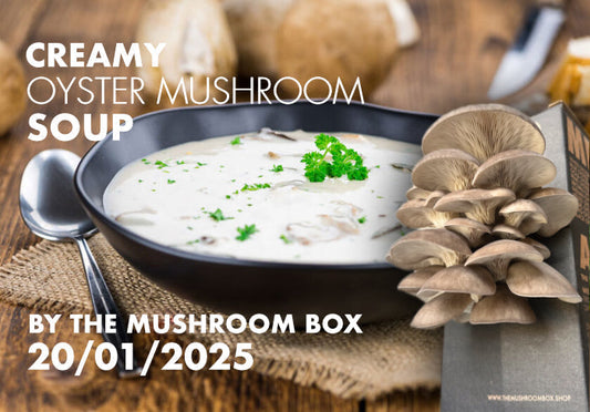 Creamy Oyster Mushroom Soup