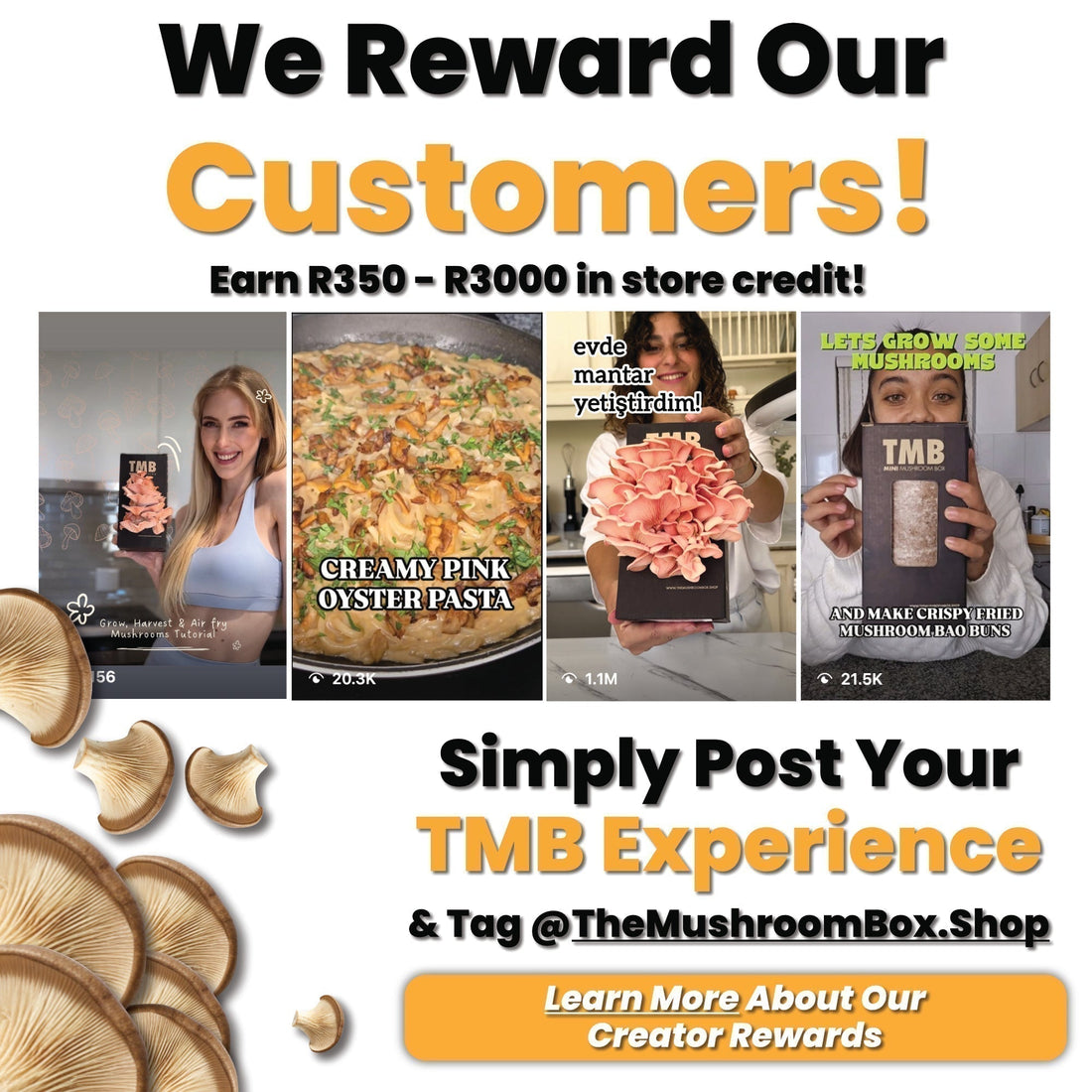 Earn While You Grow - Creator Rewards