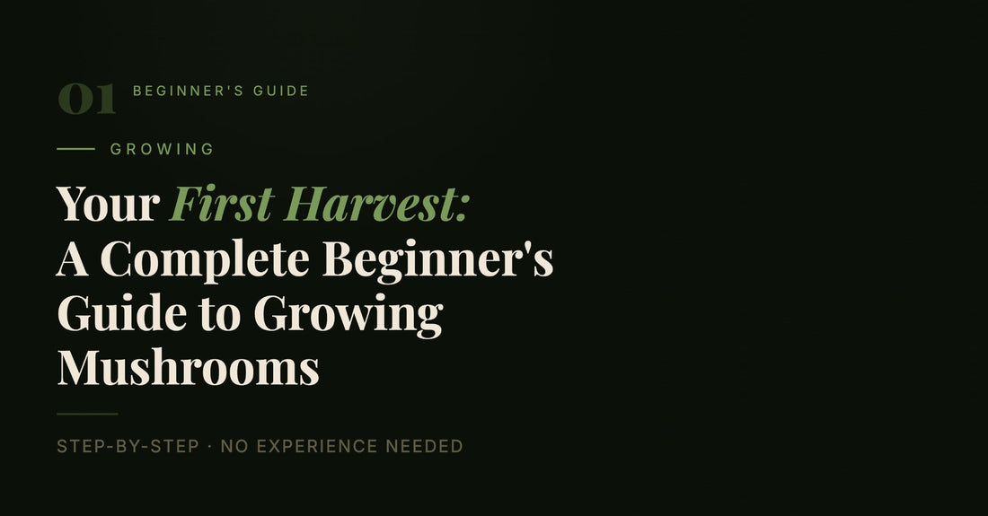 Your First Harvest: A Complete Beginner's Guide to Growing Mushrooms