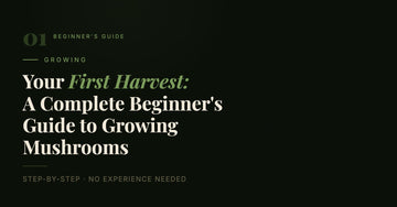 Your First Harvest: A Complete Beginner's Guide to Growing Mushrooms