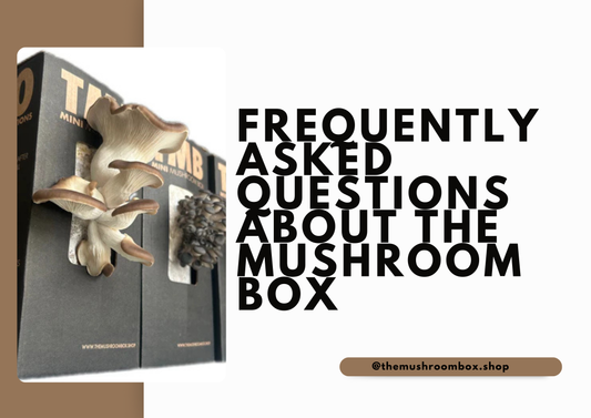 FAQ's About The Mushroom Box