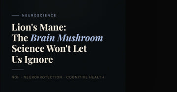 Lion's Mane: The Brain Mushroom Science Won't Let Us Ignore