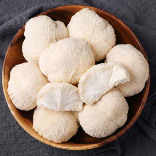 Lion's Mane Mushrooms: What the Science Actually Says (And How to Grow Your Own in SA)