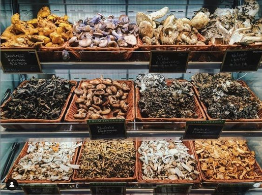 7 Healthy Mushrooms To Add To Your Diet