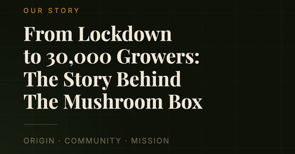 From Lockdown to 30,000 Growers: The Story Behind The Mushroom Box