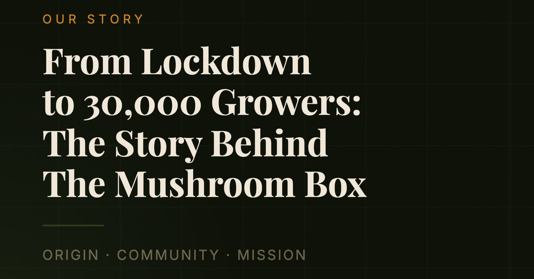 From Lockdown to 30,000 Growers: The Story Behind The Mushroom Box