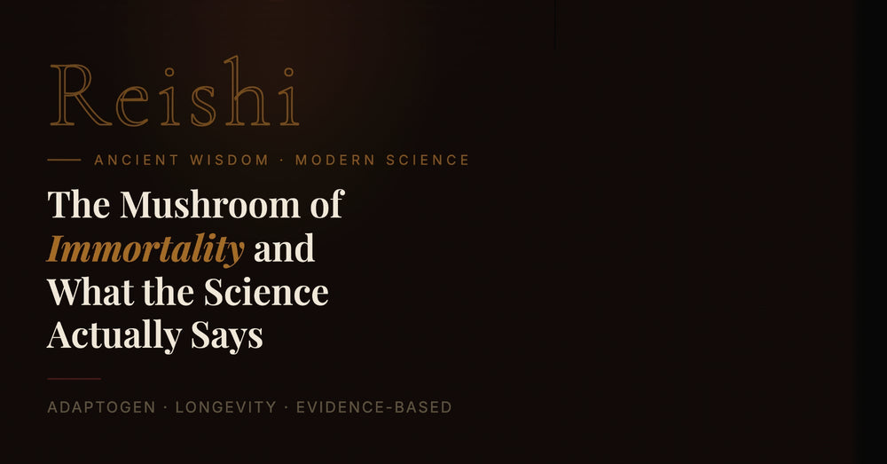 Reishi: The Mushroom of Immortality and What the Science Actually Says