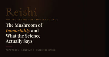 Reishi: The Mushroom of Immortality and What the Science Actually Says
