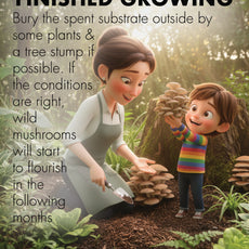 Mini Mushroom Farm