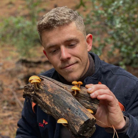 Ticket | Mushroom Movement | Foraging Workshop