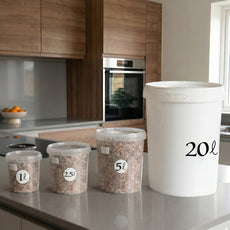 Longevity - Golden Oyster Mushroom Box