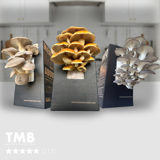 3 Pack Special [Buy 3 Get 1 Free]