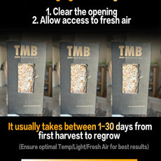 Seasonal 6 Pack | Buy 3 Get 3 Free | Random Mix