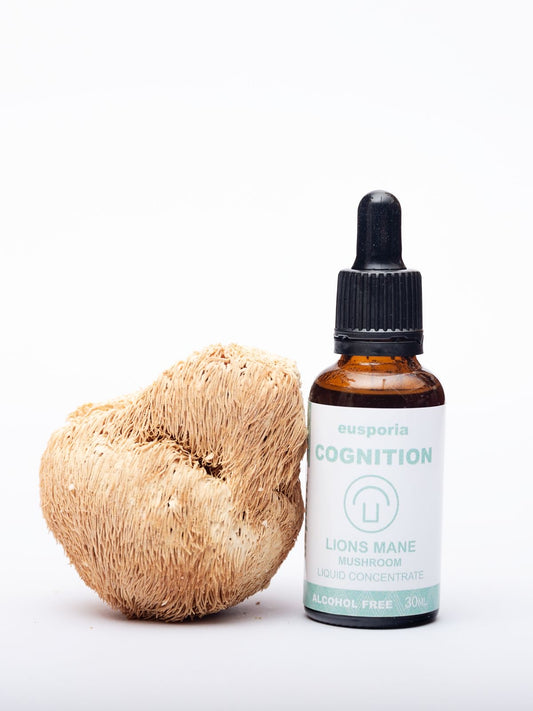 Lions Mane Mushroom Extract Tincture